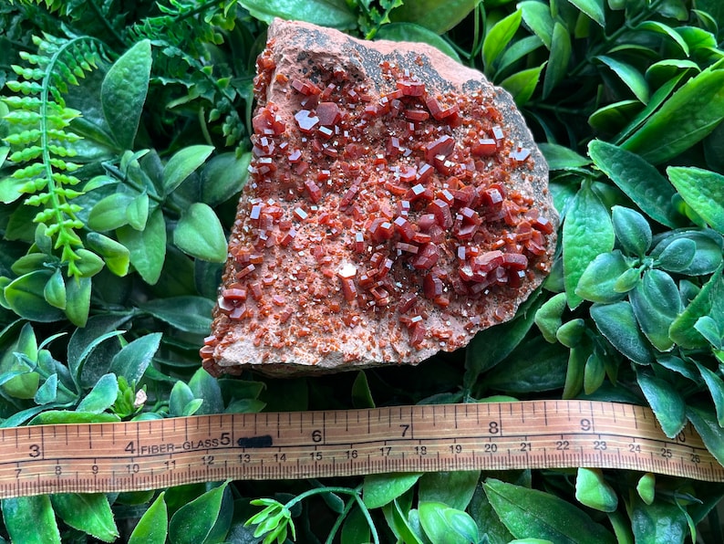 Vanadinite Morocco Natural Crystal Cluster Specimen